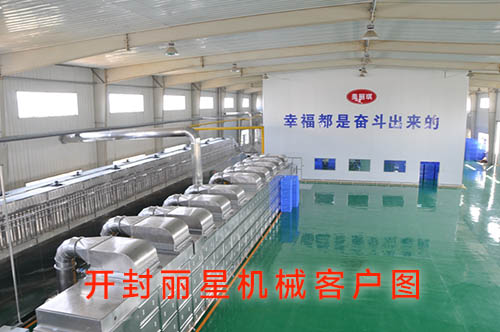 河南俏丽琪食品有限公司引进918搏天堂方便粉丝出产线