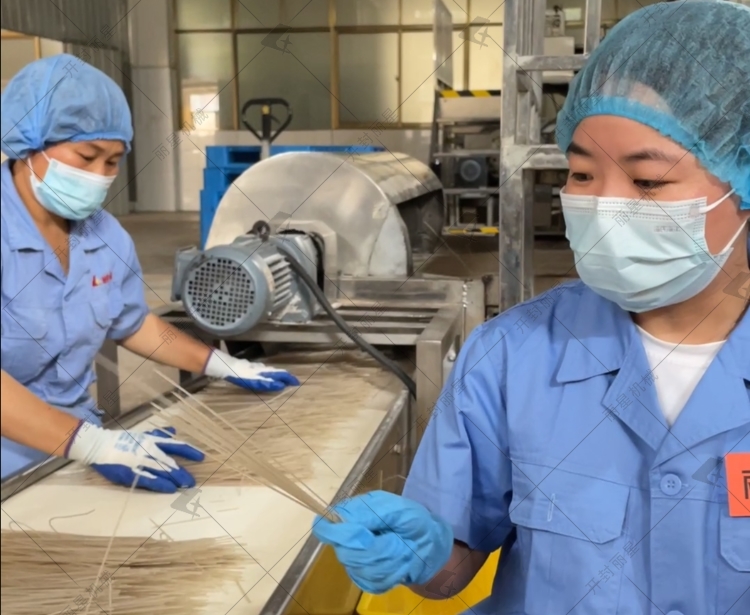 自动化粉条出产线工艺亮点与特点你知路哪些？？？？？？